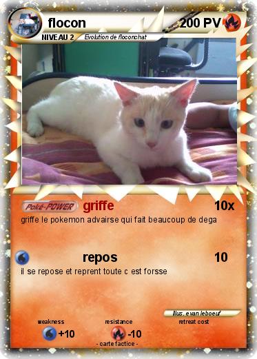 Pokemon flocon