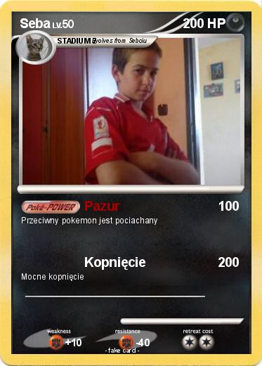 Pokemon Seba