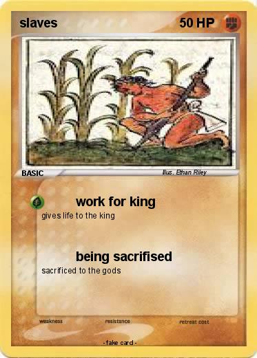 Pokemon slaves