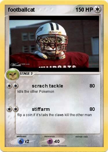 Pokemon footballcat