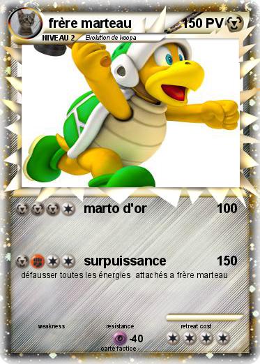 Pokemon frère marteau