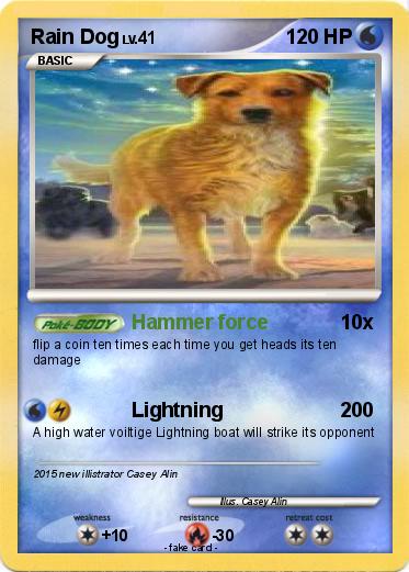 Pokemon Rain Dog