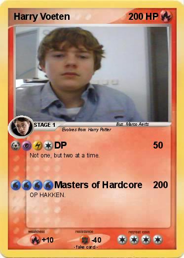 Pokemon Harry Voeten