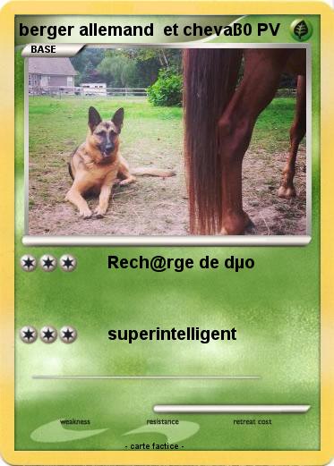 Pokemon berger allemand  et cheval