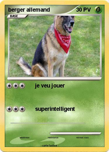 Pokemon berger allemand