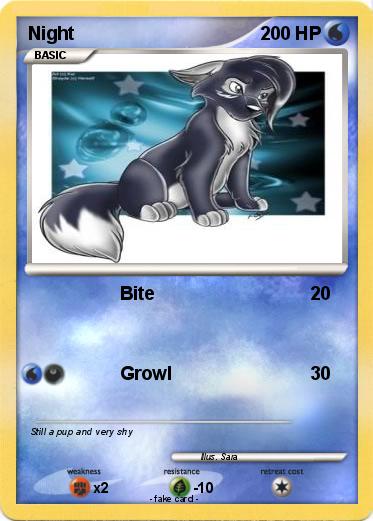 Pokemon Night