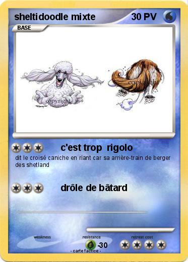 Pokemon sheltidoodle mixte