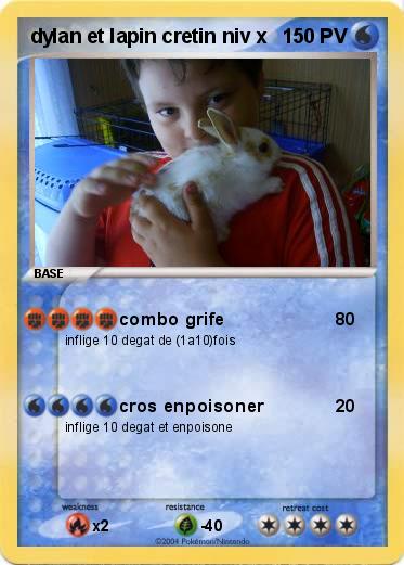 Pokemon dylan et lapin cretin niv x