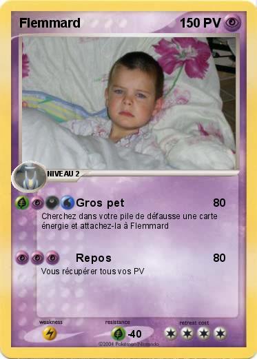 Pokemon Flemmard