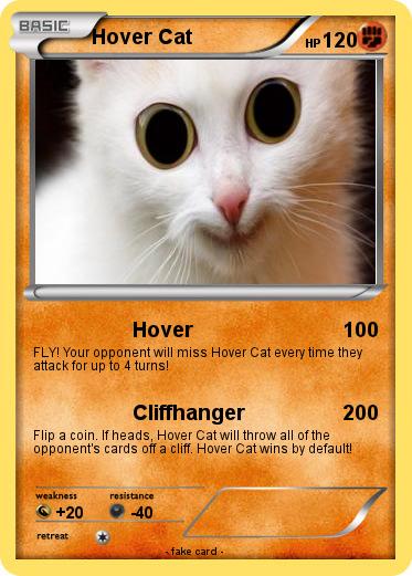 Pokemon Hover Cat