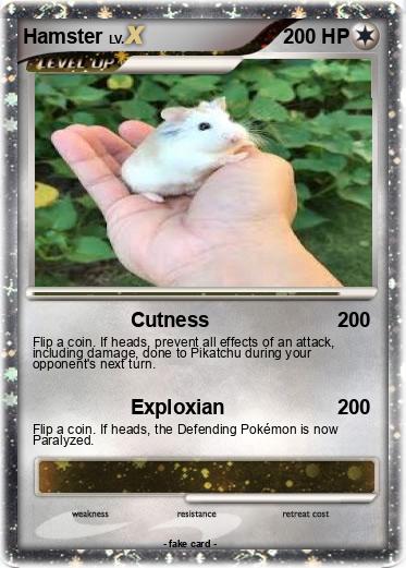 Pokemon Hamster