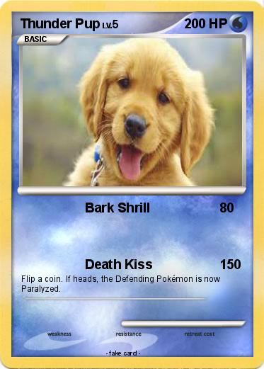 Pokemon Thunder Pup