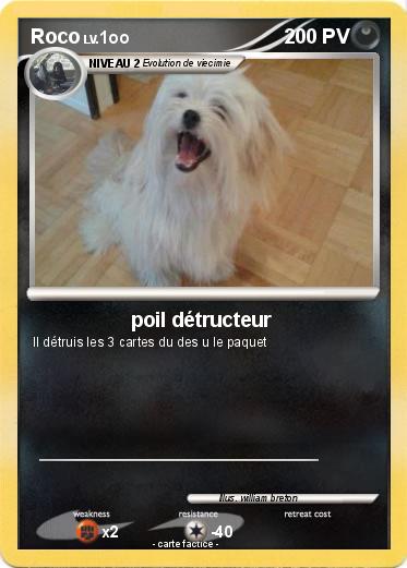 Pokemon Roco