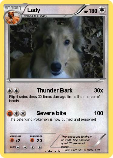 Pokemon Lady
