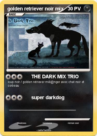 Pokemon golden retriever noir mix