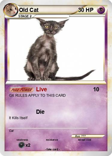 Pokemon Old Cat