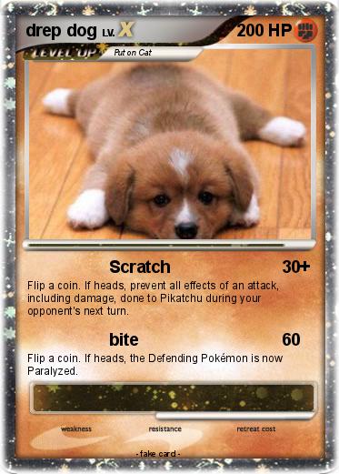 Pokemon drep dog