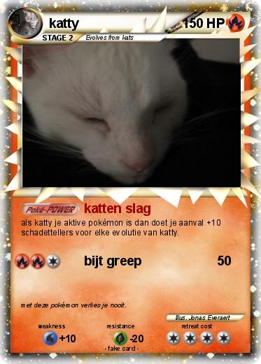 Pokemon katty