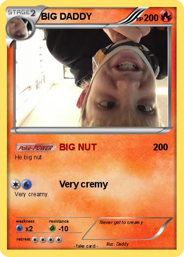 Pokemon BIG DADDY
