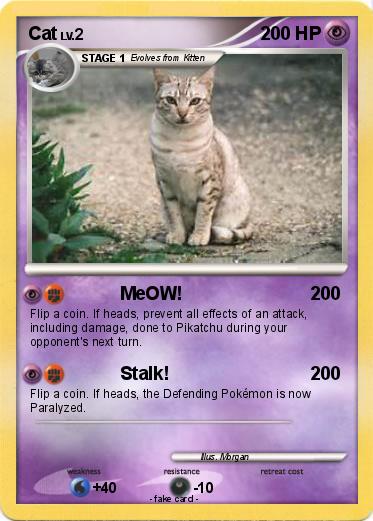 Pokemon Cat