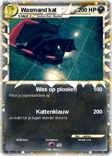 Pokemon Wasmand kat