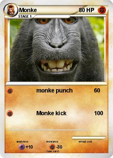 Pokemon Monke