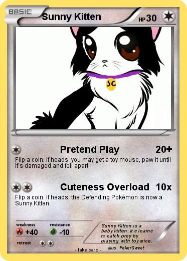 Pokemon Sunny Kitten