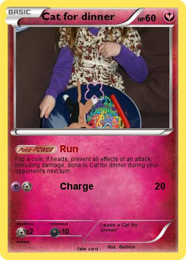 Pokemon Cat for dinner