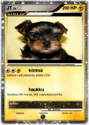 Pokemon JT