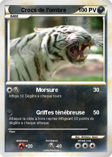 Pokemon Crocs de l'ombre