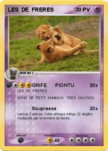 Pokemon LES  DE  FRERES