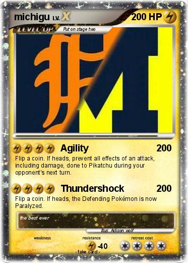 Pokemon michigu