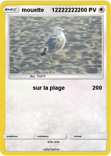 Pokemon mouette     12222222