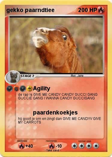 Pokemon gekko paarndtiee