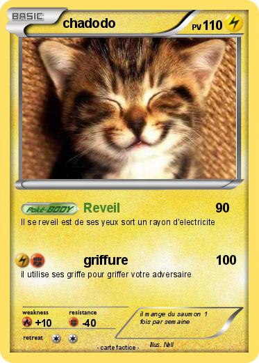Pokemon chadodo