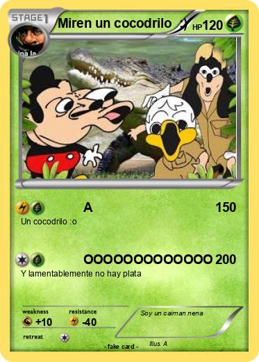 Pokemon Miren un cocodrilo  :)