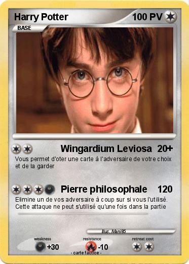 Pokemon Harry Potter