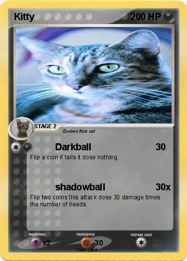Pokemon Kitty