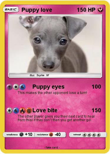 Pokemon Puppy love