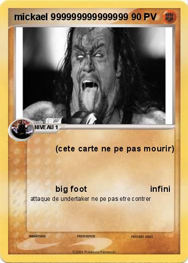 Pokemon mickael 999999999999999