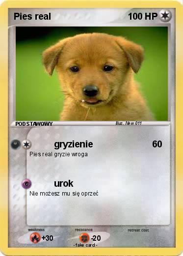 Pokemon Pies real