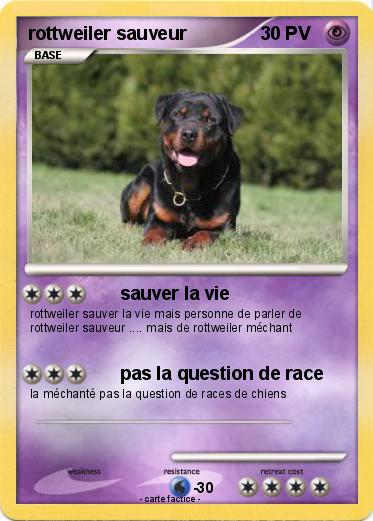 Pokemon rottweiler sauveur