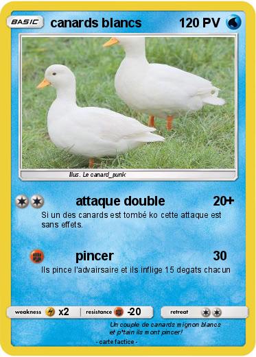 Pokemon canards blancs