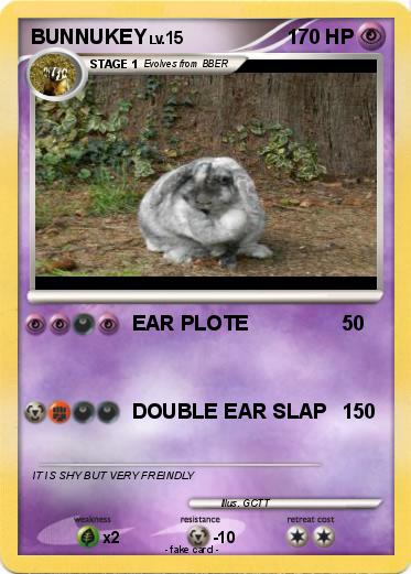 Pokemon BUNNUKEY