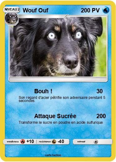 Pokemon Wouf Ouf