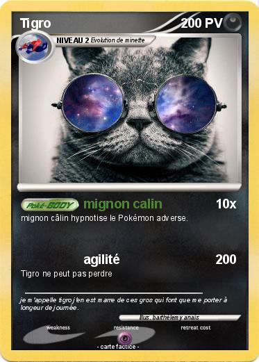 Pokemon Tigro
