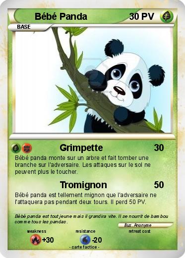 Pokemon Bébé Panda