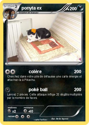 Pokemon ponyta ex