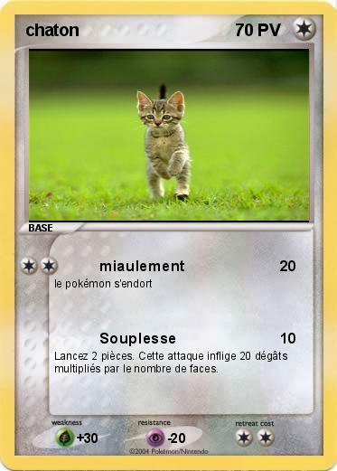 Pokemon chaton