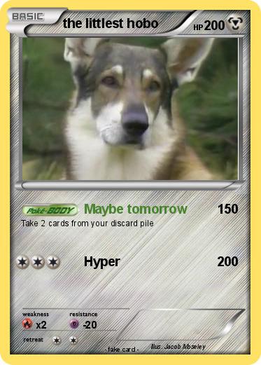 Pokemon the littlest hobo